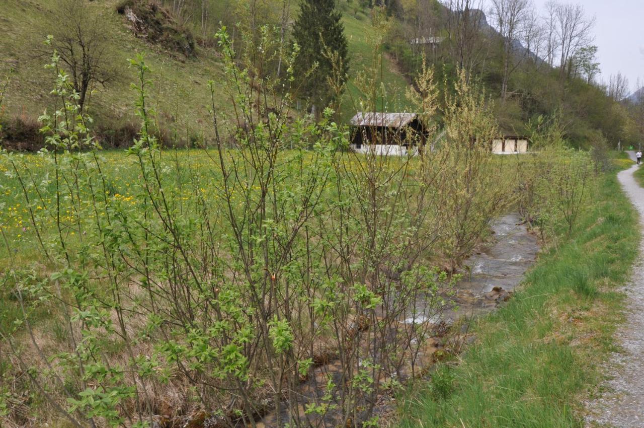 Ferienwohnungen Alter Raaben Ruti  Экстерьер фото